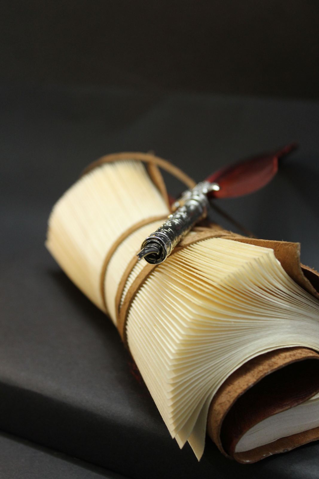 Journal vintage en cuir avec un stylo plume décoratif